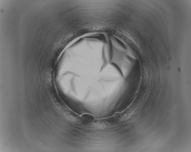 X0000073910545200609011746