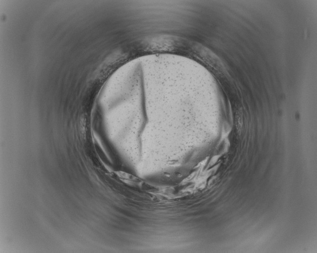 X0000073910551200609011746