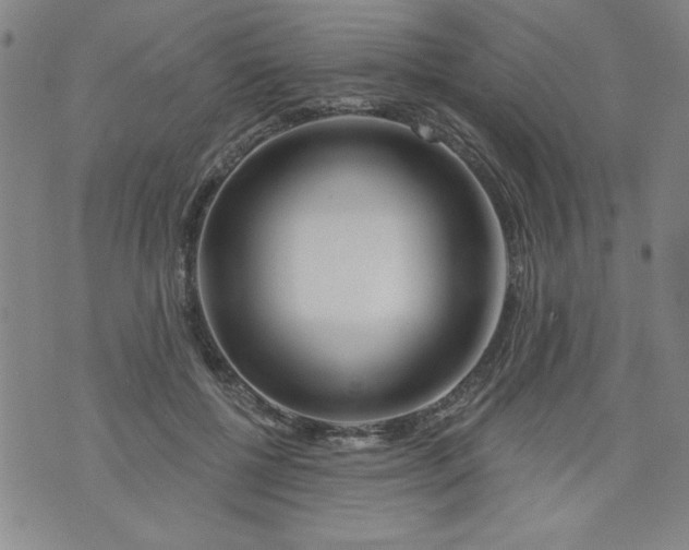 X0000073910552200609011747