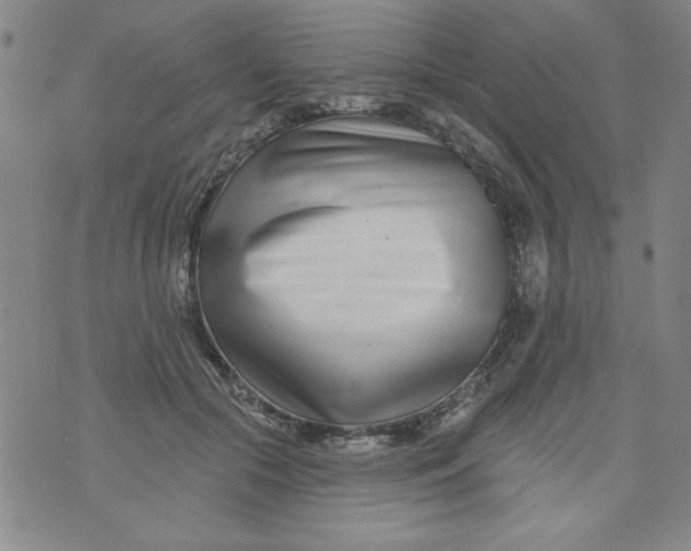 X0000073910553200609011747