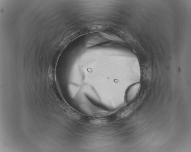 X0000073910561200609011747