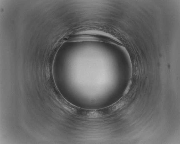 X0000073910562200609011747