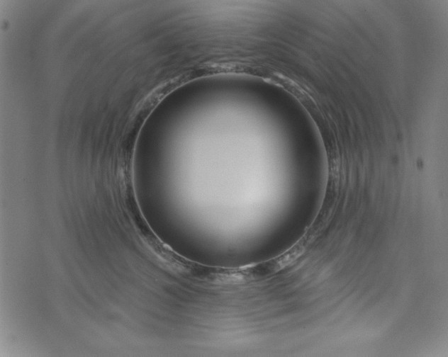 X0000073910572200609011747