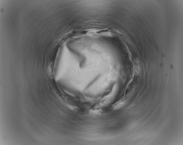 X0000073910573200609011747
