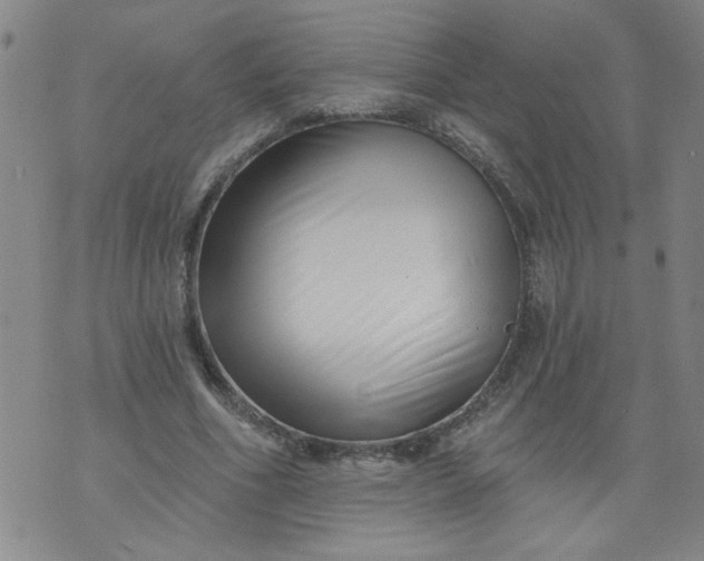 X0000073910586200609011746