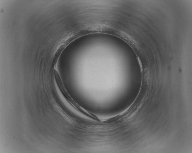 X0000073910589200609011746