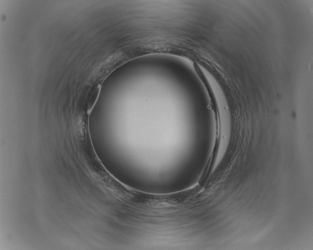 X0000073910597200609011746