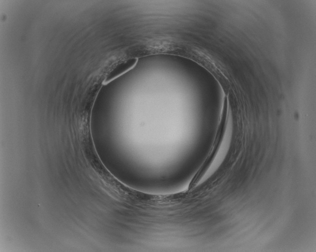 X0000073910601200609011746