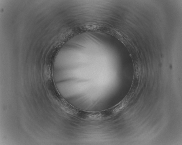 X0000073910606200609011746
