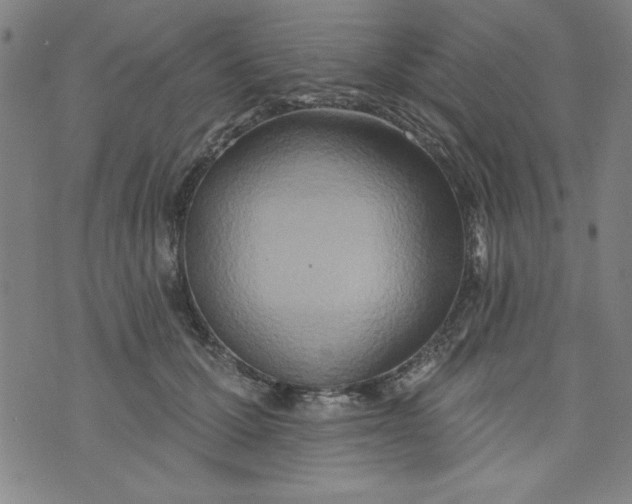 X0000073910607200609011746