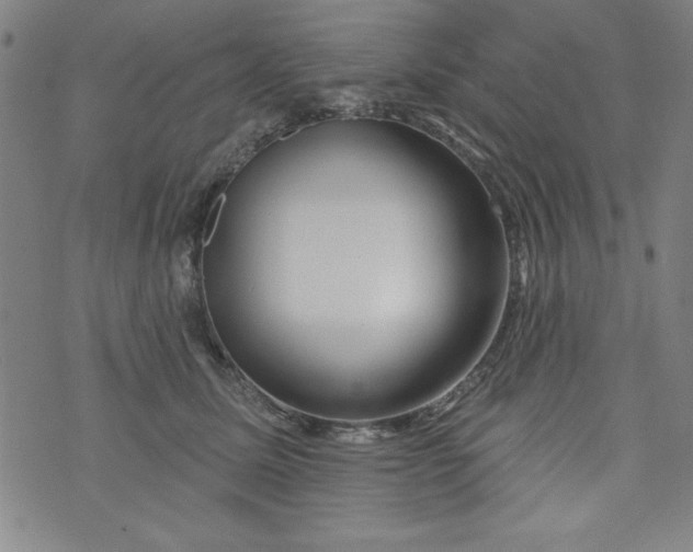 X0000073910611200609011746