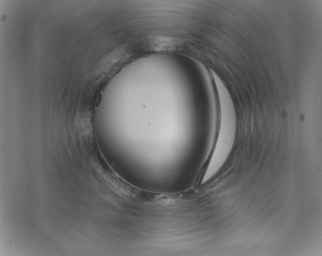 X0000073910620200609011745