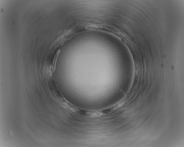 X0000073910621200609011745