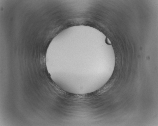 X0000073910624200609011745