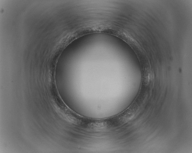 X0000073910639200609011745