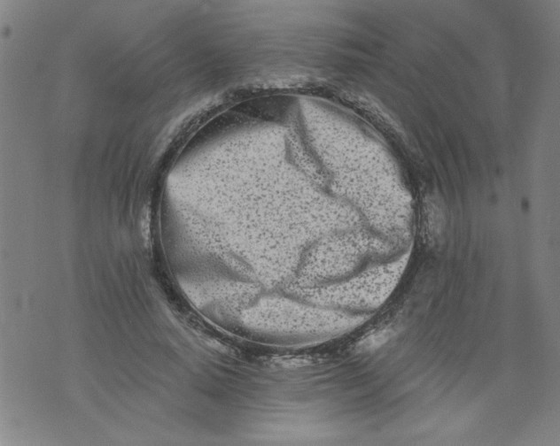 X0000073910640200609011745