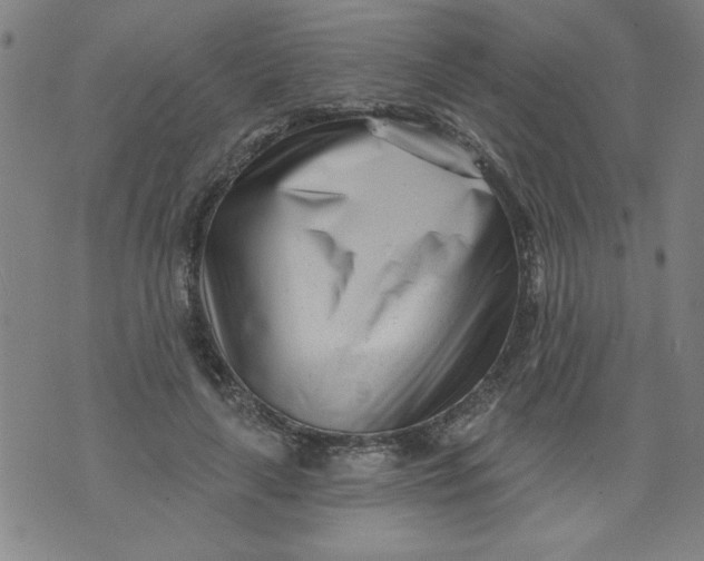 X0000073910643200609011745