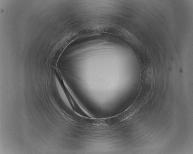 X0000073910644200609011745