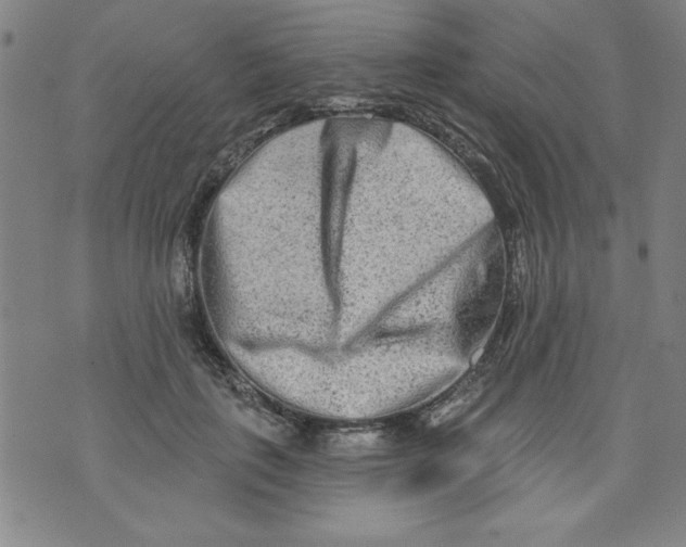 X0000073910651200609011745
