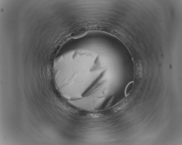 X0000073910654200609011745
