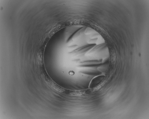 X0000073910661200609011745