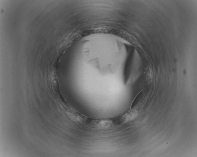 X0000073910663200609011745