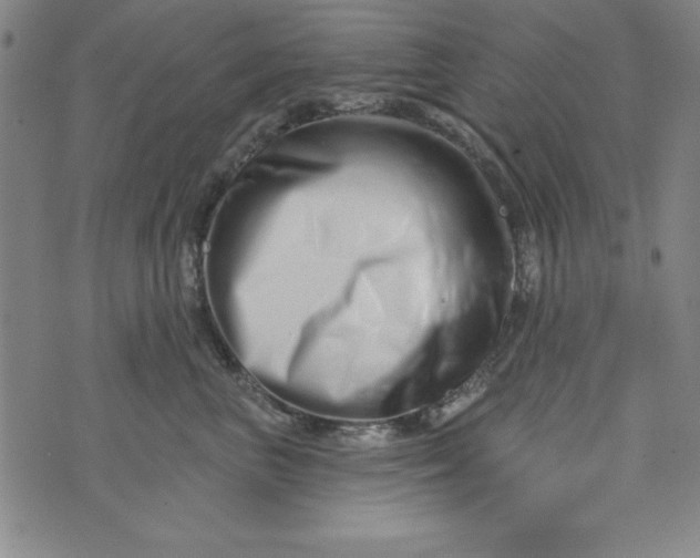 X0000073910667200609011745