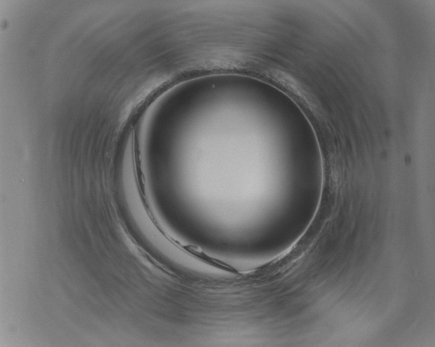 X0000073910677200609011744