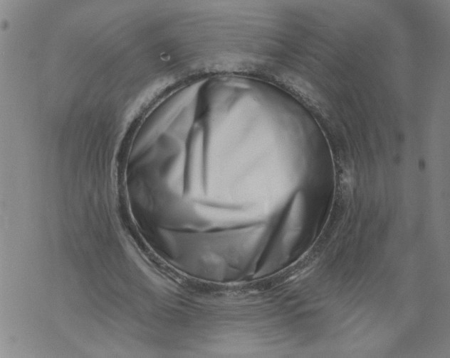X0000073910678200609011744