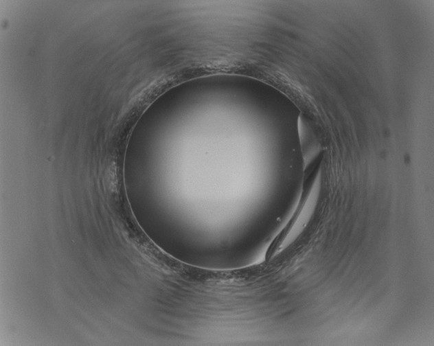 X0000073910689200609011744