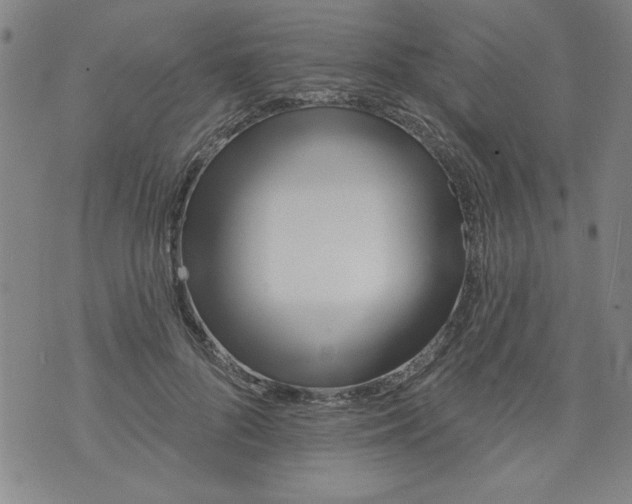 X0000073910696200609011744