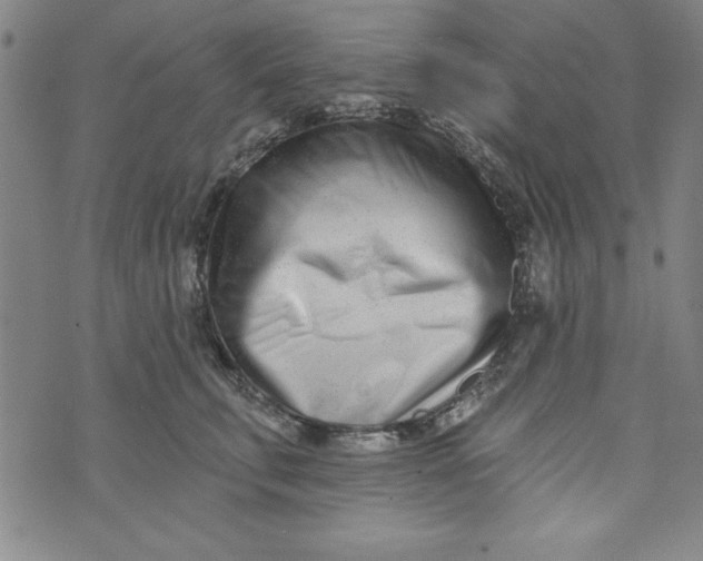 X0000073910711200609011744