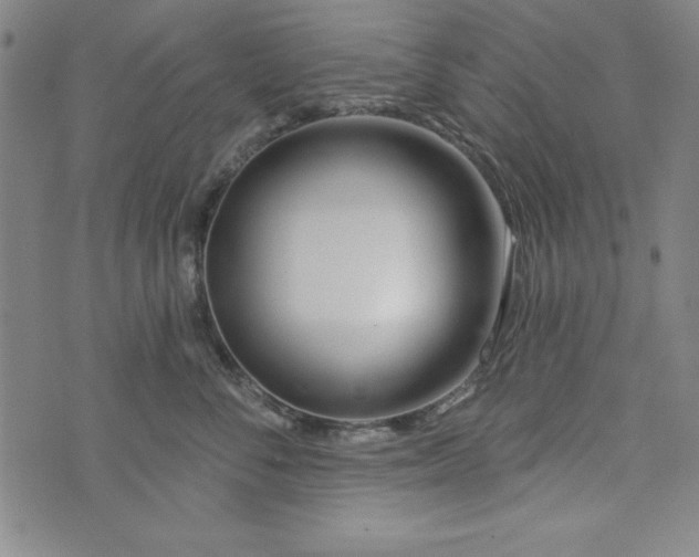 X0000073910716200609011744