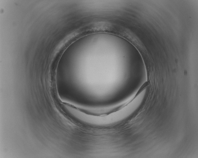 X0000073910722200609011743
