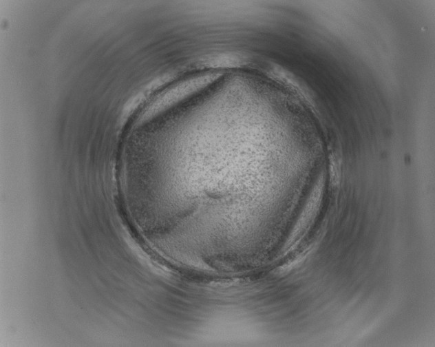 X0000073910725200609011743