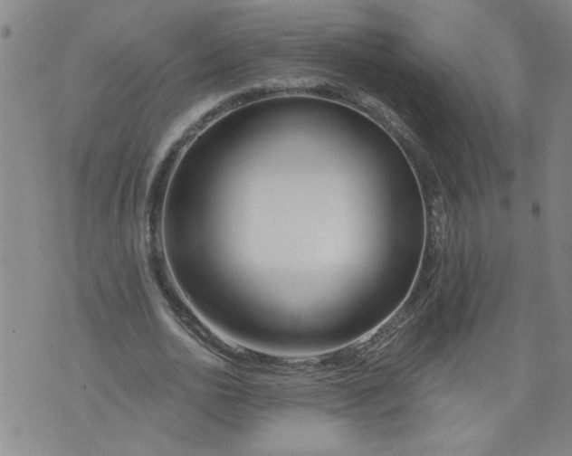 X0000073910726200609011743