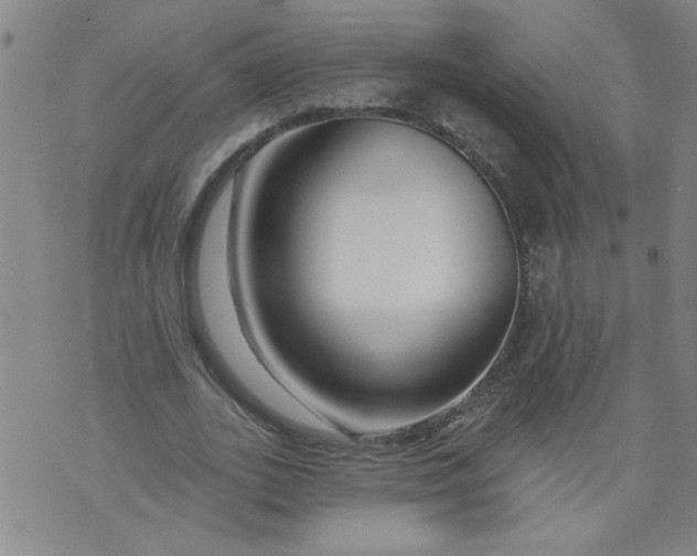 X0000073910727200609011743