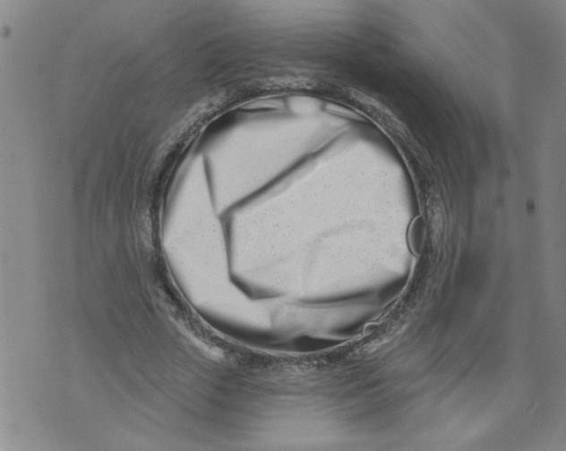 X0000073910729200609011743