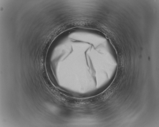 X0000073910737200609011743