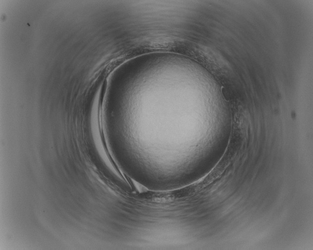 X0000073910744200609011743