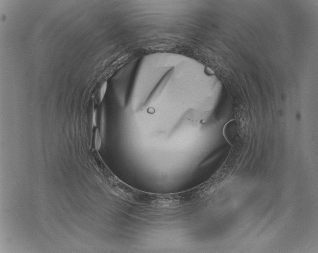 X0000073910745200609011743