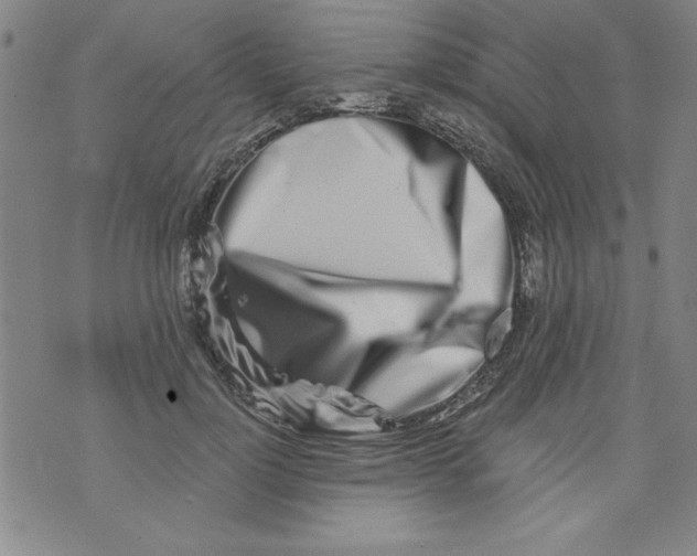 X0000073910748200609011743
