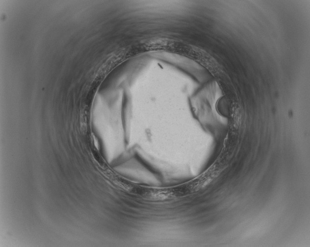 X0000073910753200609011744