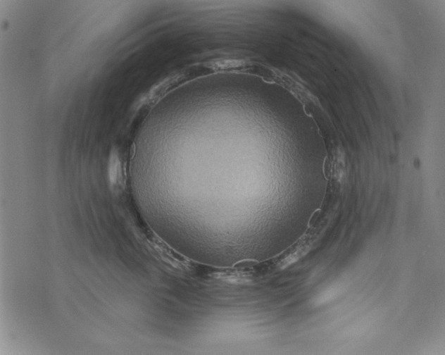 X0000073910763200609011744