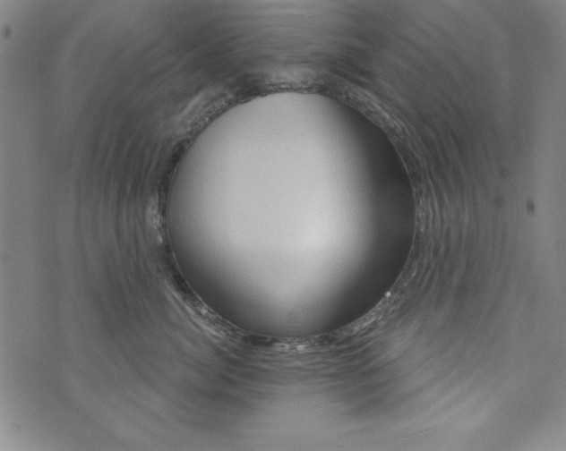 X0000073910764200609011744