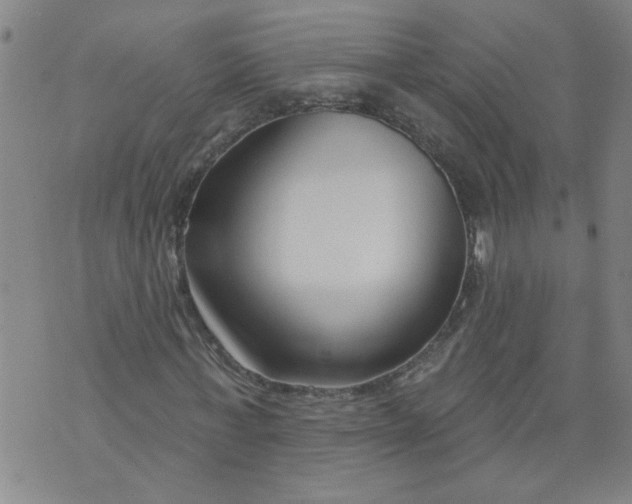 X0000073910771200609011743