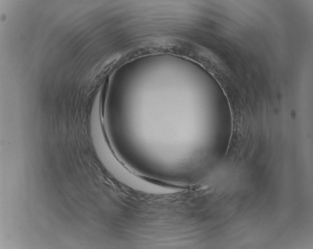 X0000073910773200609011743