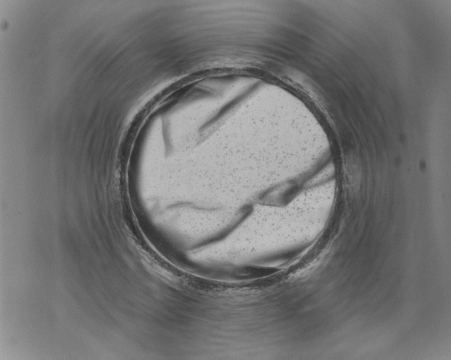 X0000073910779200609011743