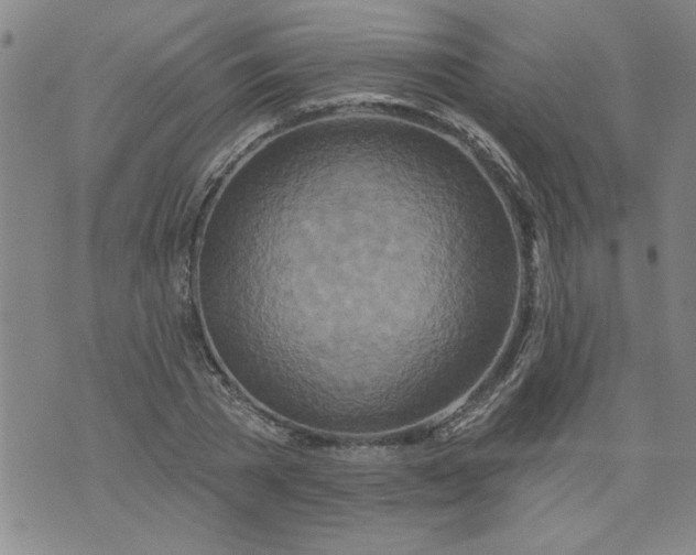 X0000073910785200609011743
