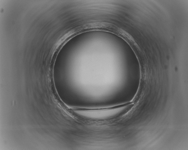 X0000073910786200609011743